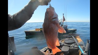 Puddingstone Lake amp Newport Beach Rock Fishing [upl. by Oznole]