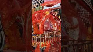 Ayodhya visarjan  ayodhya festival  shorts viral ayodhya durgapuja song dj [upl. by Allegra]