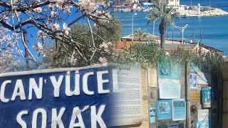 DATÇA BADEM ÇİÇEĞİ FESTİVALİ VLOG datça festival muğla [upl. by Nickerson]