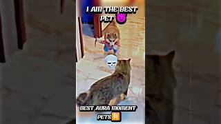 I AM THE BEST PET shorts trending viralvideo trollface memes comedy 😈 [upl. by Hurley]