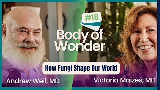 A Kingdom of Their Own  How Fungi Shape our World with Merlin Sheldrake  Body of Wonder Podcast [upl. by Rhyne]