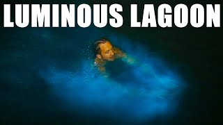 LUMINOUS LAGOON and Glistening Waters in Jamaica Best thing to do in Montego Bay Bioluminescence [upl. by Paris963]