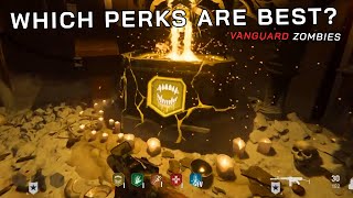 All You Need to Know About Perks in Vanguard Zombies [upl. by Emixam]