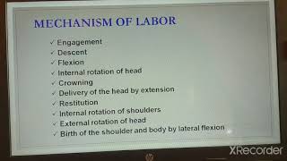 Mechanism of Normal labour [upl. by Conant]