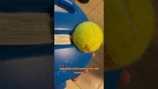 Become a pro at Tennis Link in the comments🎾 ballmate tennis solotennis tennistrainer [upl. by Gunzburg63]