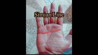 Simian Line astrology palmanalysis palmistry horoscope palmstudy astrologer palmestry [upl. by Slater490]