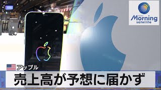 売上高が予想に届かず 米 アップル（2021年10月29日） [upl. by Ysteb]