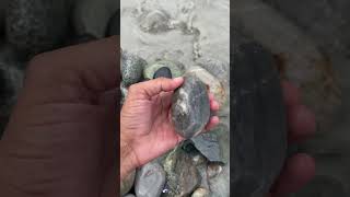 Rear stone of gem find in river hunza white gate stone for sale [upl. by Inat]