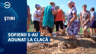 SOFIENII SAU ADUNAT LA CLACĂ [upl. by Lorain]