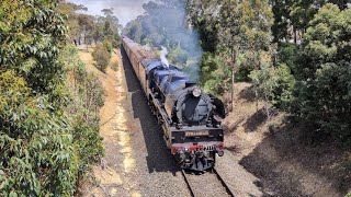 R711 at Traralgon [upl. by Danila]