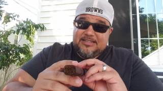 CAO Flathead 660 Carb Review 2016 [upl. by Hashim970]