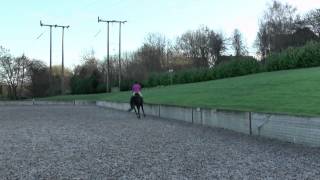 Preliminary 17 P17 Prelim 17 Dressage Test [upl. by Ahseral]