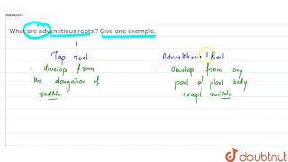 What are adventitious roots  Give one example  11  MORPHOLOGY OF FLOWERING PLANTS  BIOLOGY [upl. by Ilise]