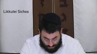 Likkutei Sichos Volume 20  Noach  Sichah 1  Part 3  Rabbi Shloimy Greenwald [upl. by Bannister944]