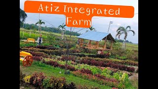 Tour  Atiz Integrated Farm I Bantud Tigbauan Philippines [upl. by Sheryle]