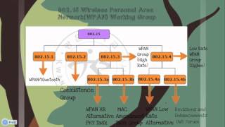 IEEE 802 Wireless Standards [upl. by Eiahpets185]