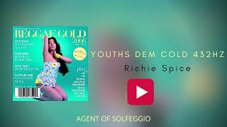 Richie Spice  Youths Dem Cold  A4 432Hz  Official Audio [upl. by Azar]