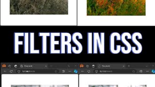 How to use filters in css [upl. by Niko]