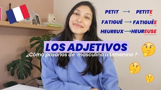 LOS ADJETIVOS EN FRANCÉS 🇫🇷 ¿Cómo pasarlos a femenino y plural [upl. by Ayyn]