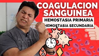 FISIOLOGIA DE LA COAGULACION 🩸 Hemostasia PRIMARIA y SECUNDARIA  FACIL [upl. by Enimassej589]