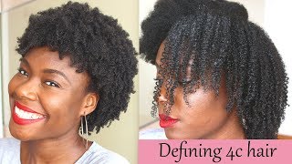 Defined curls on 4c natural hair using the LOC method no gel [upl. by Narmi]