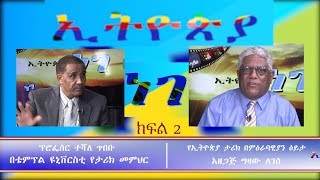 ESAT Ethiopia Nege Ato Gizaw with Prof Teshale Tibebu Part 2 Feb 2019 [upl. by Redyr]