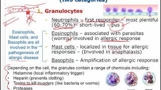 Pathophysiology  Inflammatory Response and Fever  Ch 3 [upl. by Adaynek]