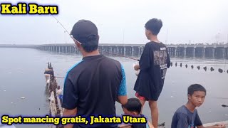 Kali Baru spot mancing gratis di Jakarta Utara [upl. by Chao828]