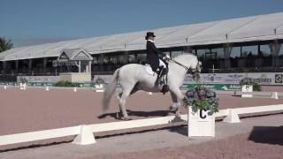 Patterson Dressage Music  The Sound of Music 2017 Inter 1 Freestyle [upl. by Faustus]