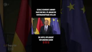 Die AmpelKoalition implodiert⚠️ scholz lindner entlassung vertrauensfrage neuwahlen afd [upl. by Lear265]