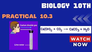 Biology 10th Practical 103 Demonstration of the presence of CO2 in the exhaled air [upl. by Aivyls]