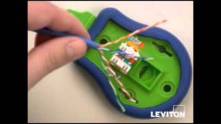 How to Use a Jack Rapid Tool for Leviton Connectors [upl. by Yevette]