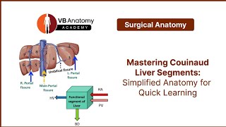 Mastering Couinaud Liver Segments Simplified Anatomy for Quick Learning [upl. by Xavler]