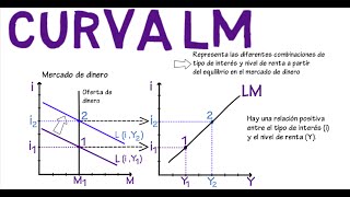 Curva LM  Cap 9  Macroeconomía [upl. by Cioffred450]