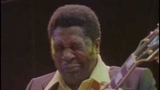 BB King  I Believe To My Soul  Live in Africa 1974 [upl. by Prochora173]