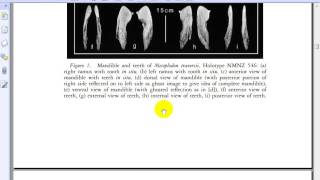 New Whale Discovery Effects Evolution Theory [upl. by Ozmo]