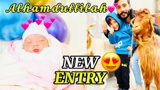 Allhmudulilah i became Chachu😭Aqiqah ka bakry agaye😍 [upl. by Nelrsa]