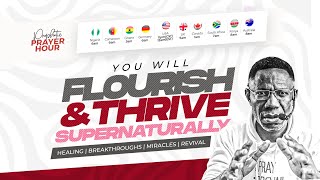 YOU WILL FLOURISH amp THRIVE  YOUR DESTINY WILL NOT BE CONTAINED  PPH WITH REV DR SAM OYE DAY 1143 [upl. by Behm]