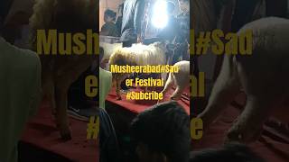 MusheerabadSader Festival 2024 Bullsubscribe [upl. by Epoillac]