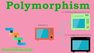 Polymorphism in Java  Learn Coding [upl. by Koal]