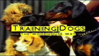 Training Dogs The Woodhouse Way  Barbara Woodhouse [upl. by Ymmit197]