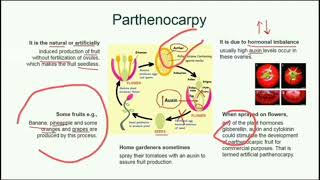 Parthenocarpy  Vegetative parthenocarpy  Stimulative parthenocarpy  Stenospermocarpy [upl. by Alis]