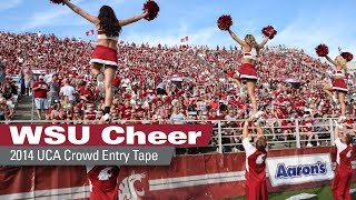 2014 WSU Cheer Crowd Tape Entry [upl. by Lenz]