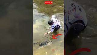 AMAZING Spearing a Giant Catfish in a Shallow River shorts [upl. by Adriell]