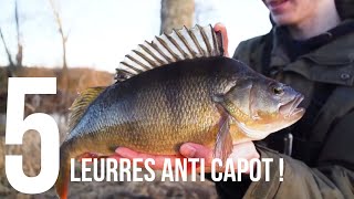 Les 5 leurres INDISPENSABLES  Anti CAPOT pour pêcher la Perche  Débutant [upl. by Pedaias51]