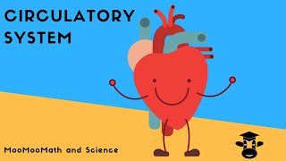 How blood flows through the bodyThe Circulatory System [upl. by Short]