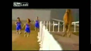 4 Midgets Race a camel w Super Mario Bros Sounds [upl. by Kinna]