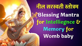 5000 year old vedic saraswati Mantra Best for Memory and intelligence l Neel saraswati stotram [upl. by Thar]