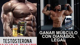 Los beneficios del clenbuterol [upl. by Aneelas297]