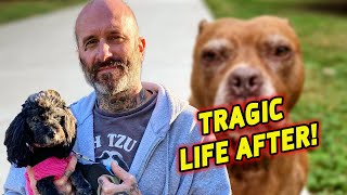 Why did Jake Gardner Leave Pitbulls and Parolees Tragic Life After Show [upl. by Dibru804]